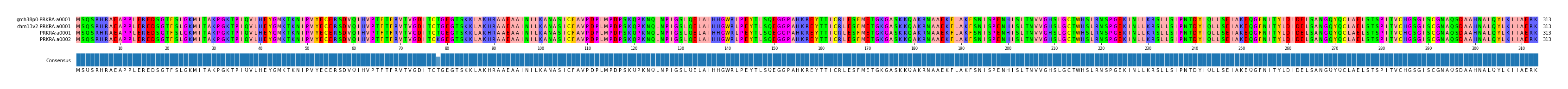 Multiple Alignments (by translate haplotype similarity)