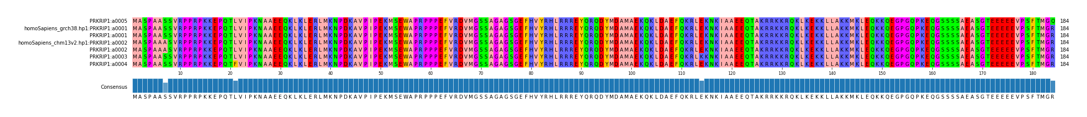 Multiple Alignments (by translate haplotype similarity)