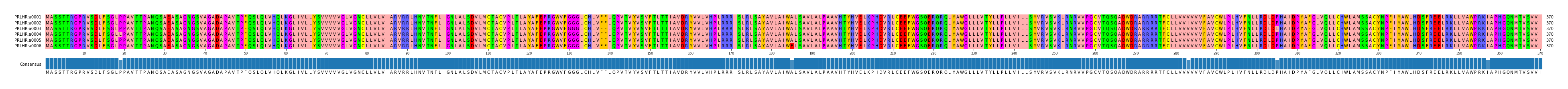 Multiple Alignments (by translate haplotype frequency)