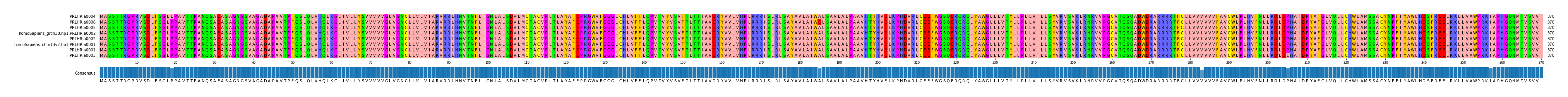 Multiple Alignments (by translate haplotype similarity)