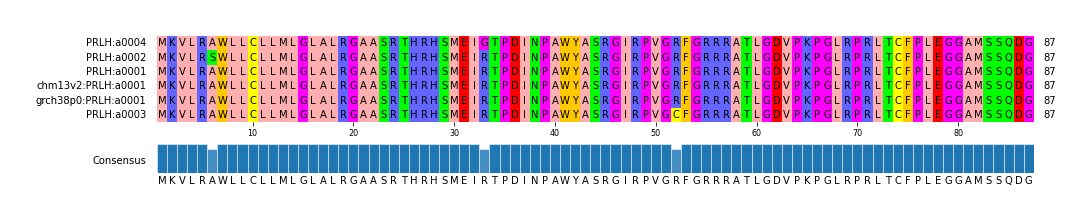 Multiple Alignments (by translate haplotype similarity)