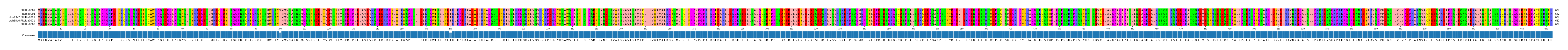 Multiple Alignments (by translate haplotype similarity)