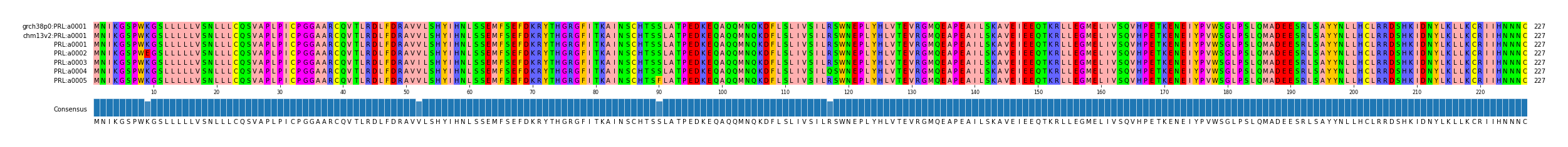 Multiple Alignments (by translate haplotype frequency)