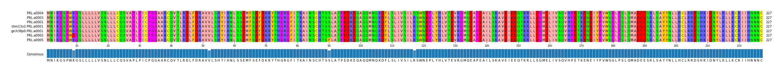 Multiple Alignments (by translate haplotype similarity)