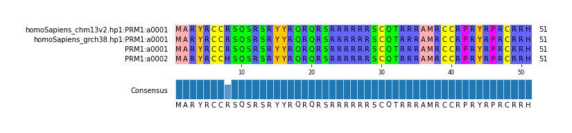Multiple Alignments (by translate haplotype similarity)