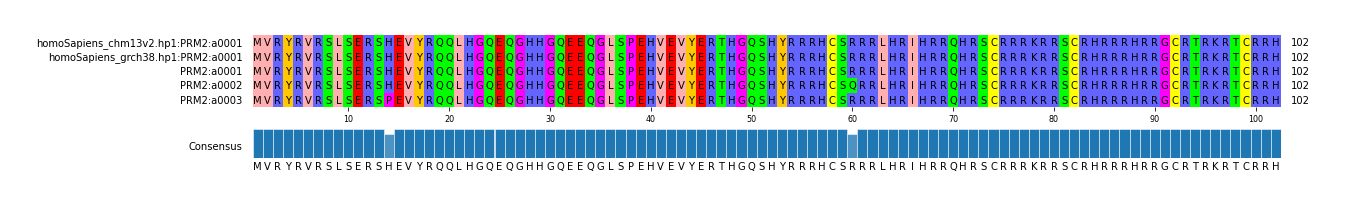 Multiple Alignments (by translate haplotype frequency)