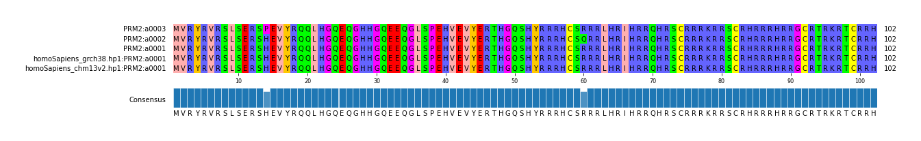 Multiple Alignments (by translate haplotype similarity)