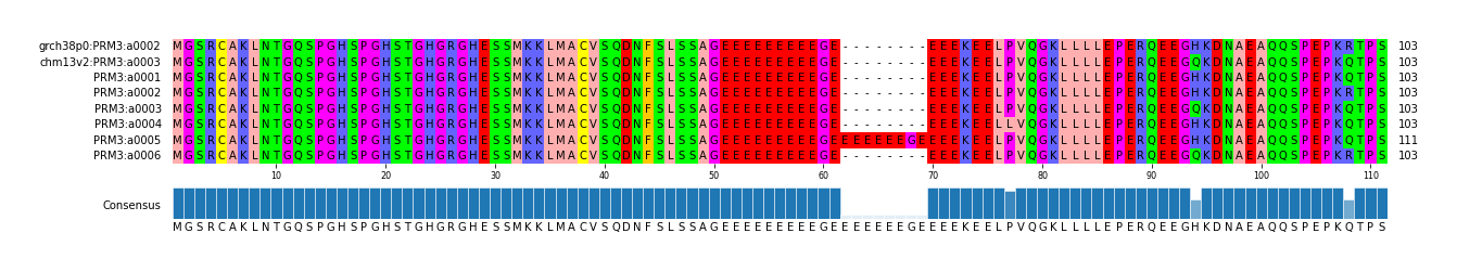Multiple Alignments (by translate haplotype frequency)