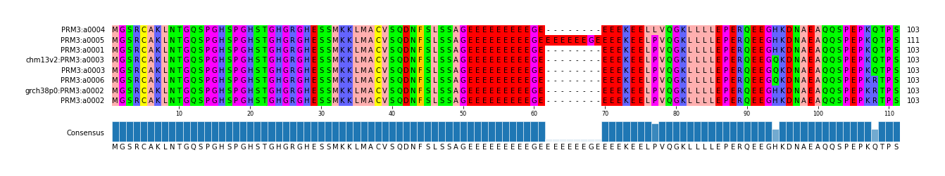 Multiple Alignments (by translate haplotype similarity)