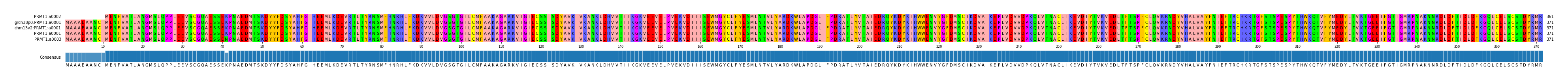 Multiple Alignments (by translate haplotype similarity)