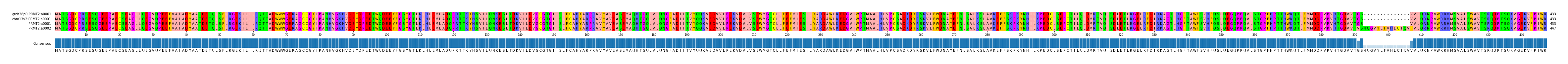 Multiple Alignments (by translate haplotype similarity)