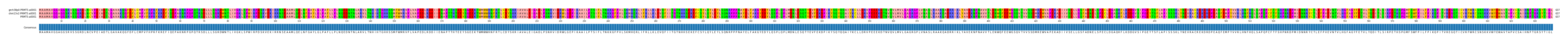 Multiple Alignments (by translate haplotype similarity)