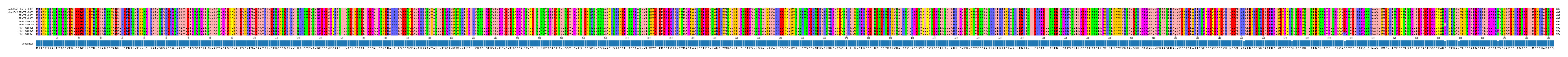 Multiple Alignments (by translate haplotype frequency)