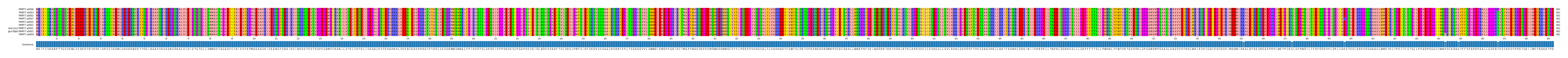 Multiple Alignments (by translate haplotype similarity)