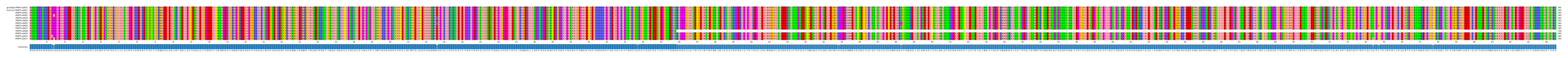 Multiple Alignments (by translate haplotype frequency)