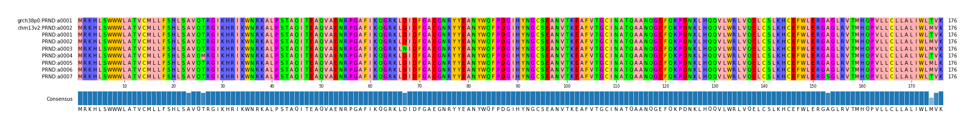 Multiple Alignments (by translate haplotype frequency)