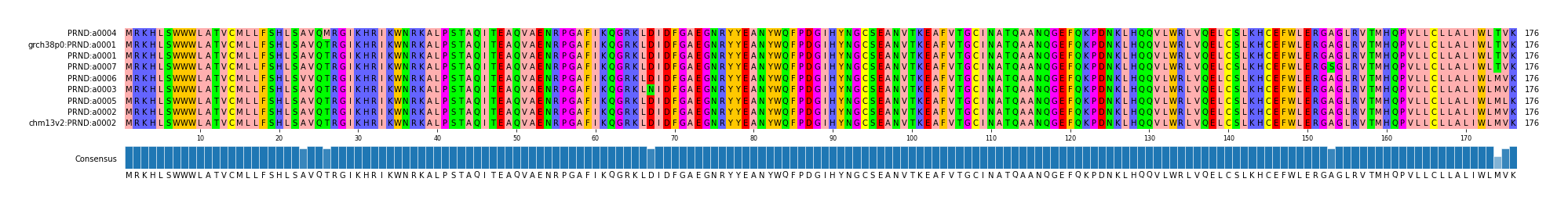 Multiple Alignments (by translate haplotype similarity)