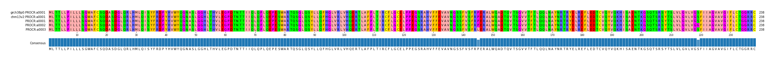 Multiple Alignments (by translate haplotype frequency)