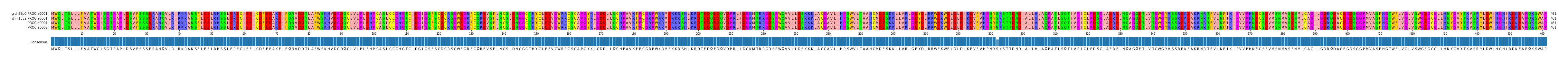 Multiple Alignments (by translate haplotype similarity)