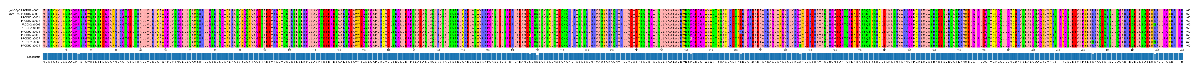 Multiple Alignments (by translate haplotype frequency)