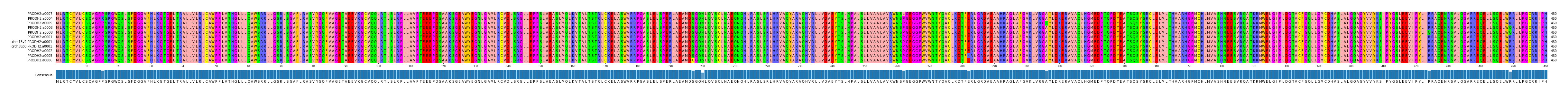 Multiple Alignments (by translate haplotype similarity)