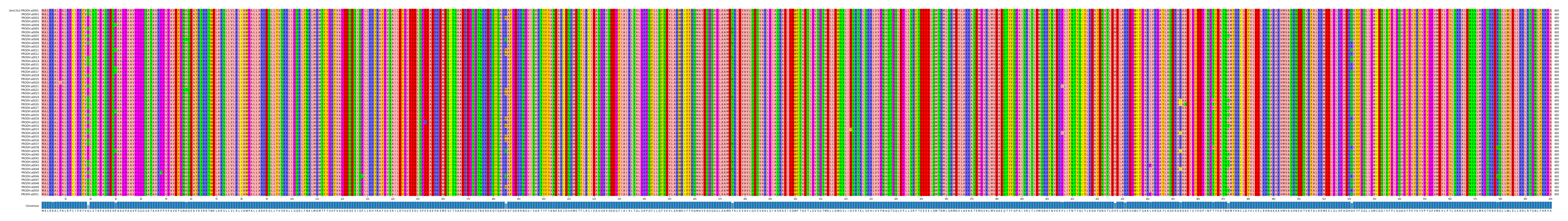 Multiple Alignments (by translate haplotype frequency)