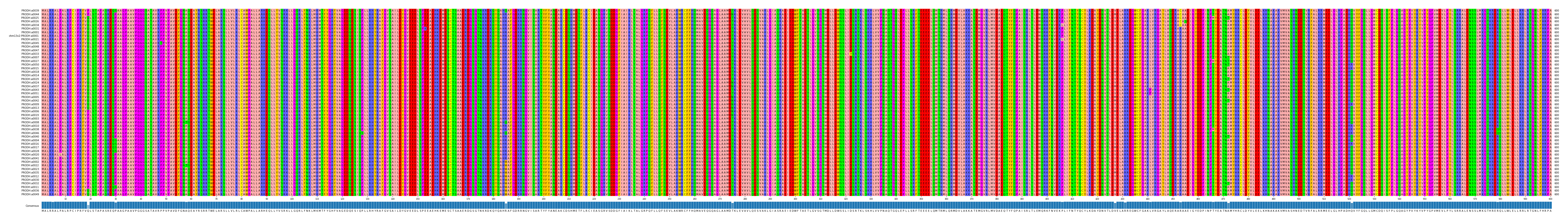 Multiple Alignments (by translate haplotype similarity)