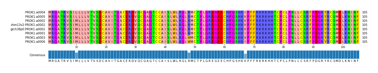 Multiple Alignments (by translate haplotype similarity)
