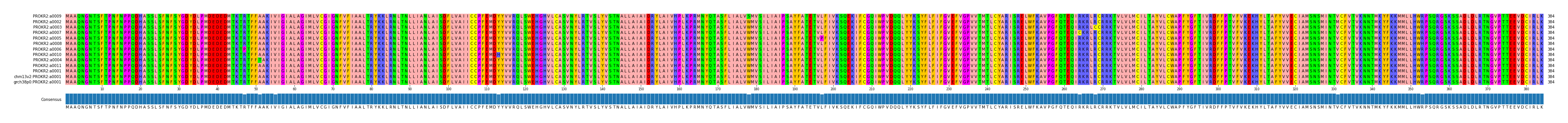 Multiple Alignments (by translate haplotype similarity)
