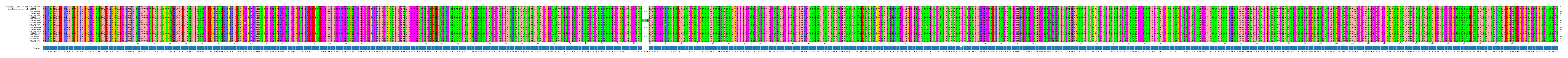 Multiple Alignments (by translate haplotype frequency)