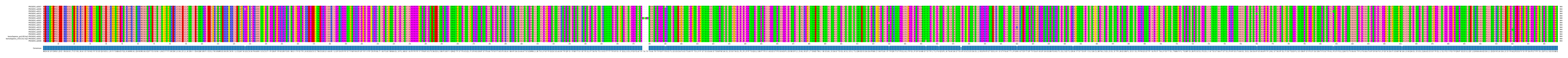 Multiple Alignments (by translate haplotype similarity)
