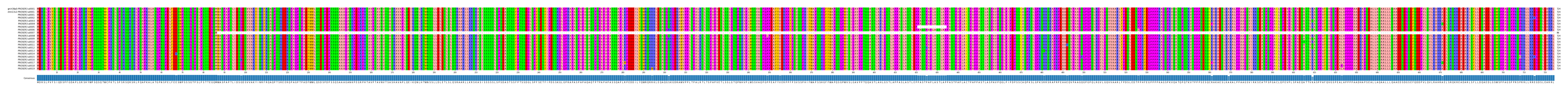 Multiple Alignments (by translate haplotype frequency)