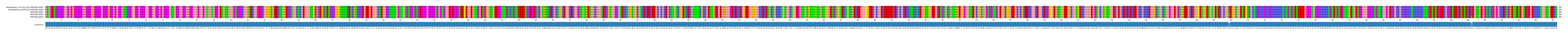 Multiple Alignments (by translate haplotype frequency)