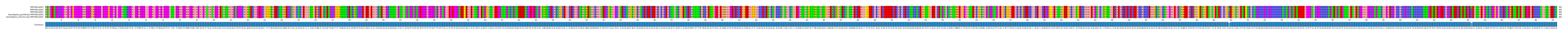 Multiple Alignments (by translate haplotype similarity)