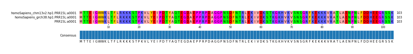 Multiple Alignments (by translate haplotype similarity)