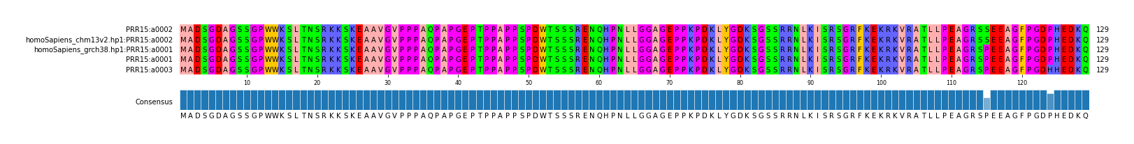 Multiple Alignments (by translate haplotype similarity)