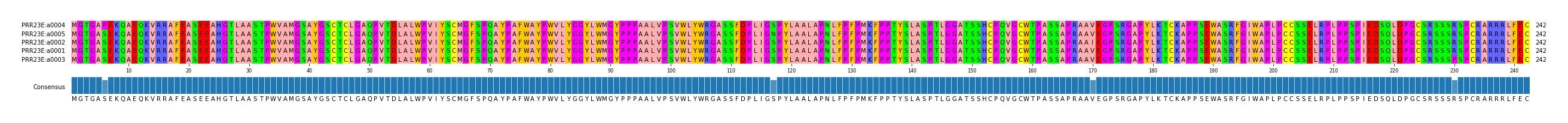 Multiple Alignments (by translate haplotype similarity)