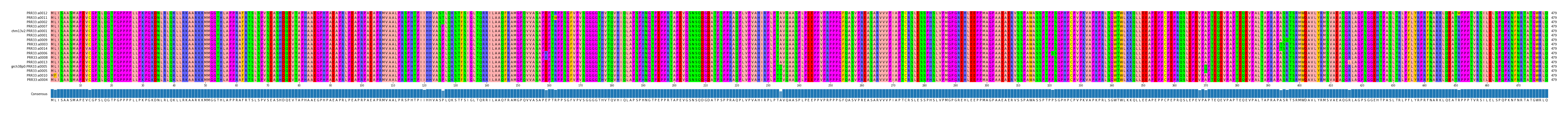 Multiple Alignments (by translate haplotype similarity)