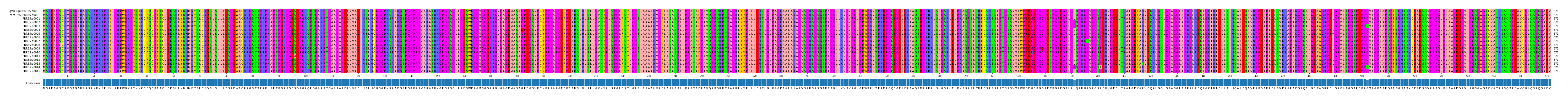 Multiple Alignments (by translate haplotype frequency)
