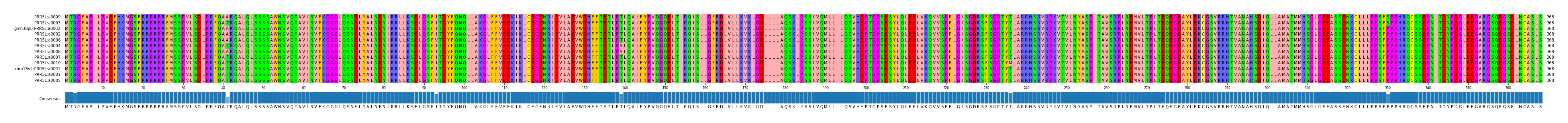Multiple Alignments (by translate haplotype similarity)