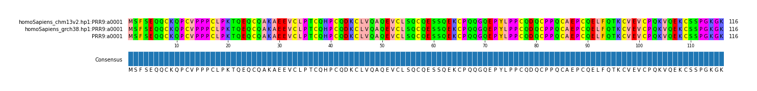 Multiple Alignments (by translate haplotype similarity)