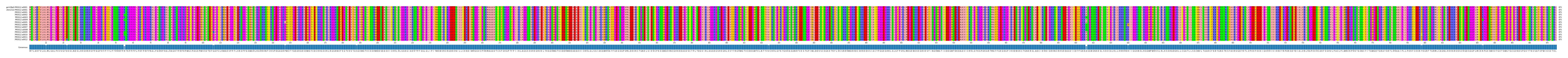 Multiple Alignments (by translate haplotype frequency)
