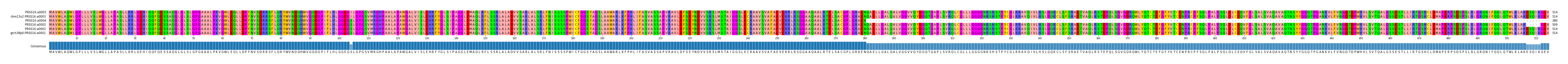 Multiple Alignments (by translate haplotype similarity)