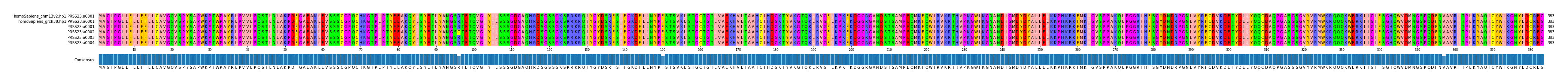 Multiple Alignments (by translate haplotype frequency)