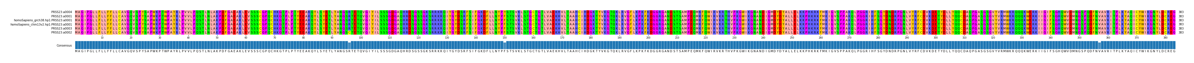 Multiple Alignments (by translate haplotype similarity)