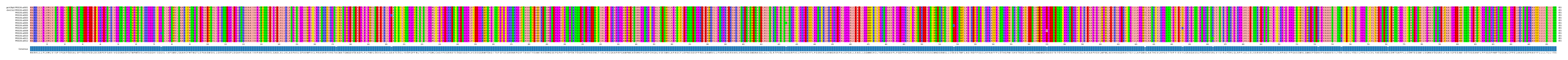 Multiple Alignments (by translate haplotype frequency)