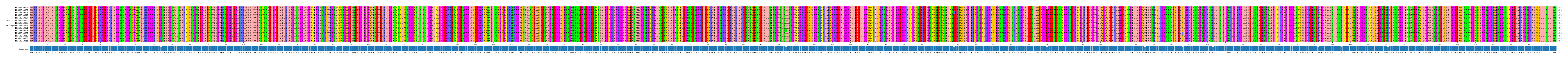 Multiple Alignments (by translate haplotype similarity)