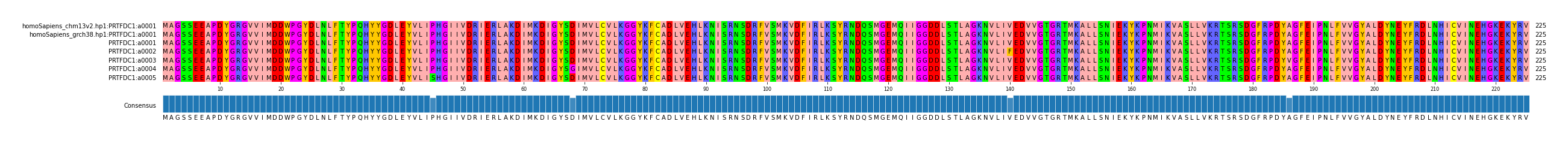 Multiple Alignments (by translate haplotype frequency)