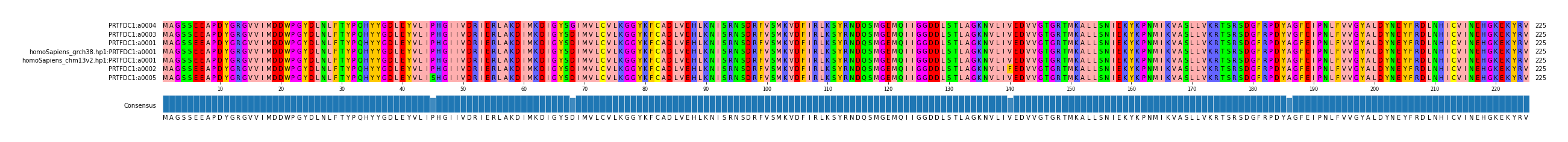 Multiple Alignments (by translate haplotype similarity)