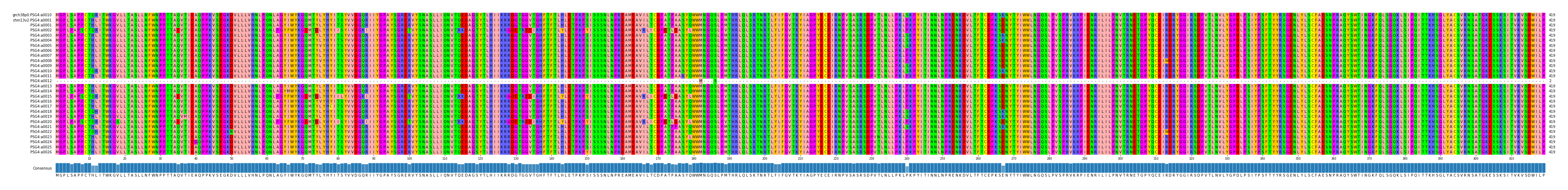 Multiple Alignments (by translate haplotype frequency)